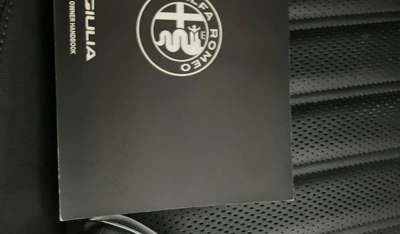 
								2021 Alfa Romeo Giulia full									